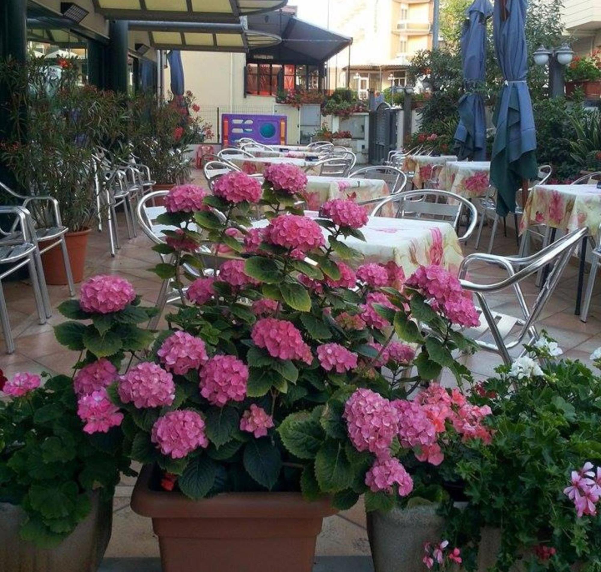 Hotel Caruso Rimini Exterior foto